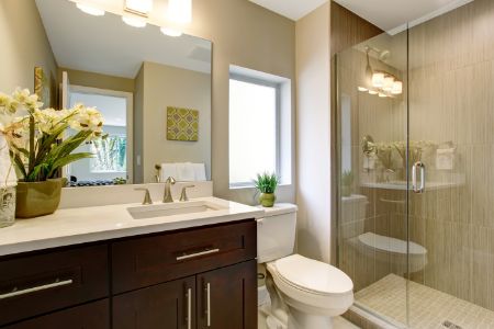 Plumbing Fixtures